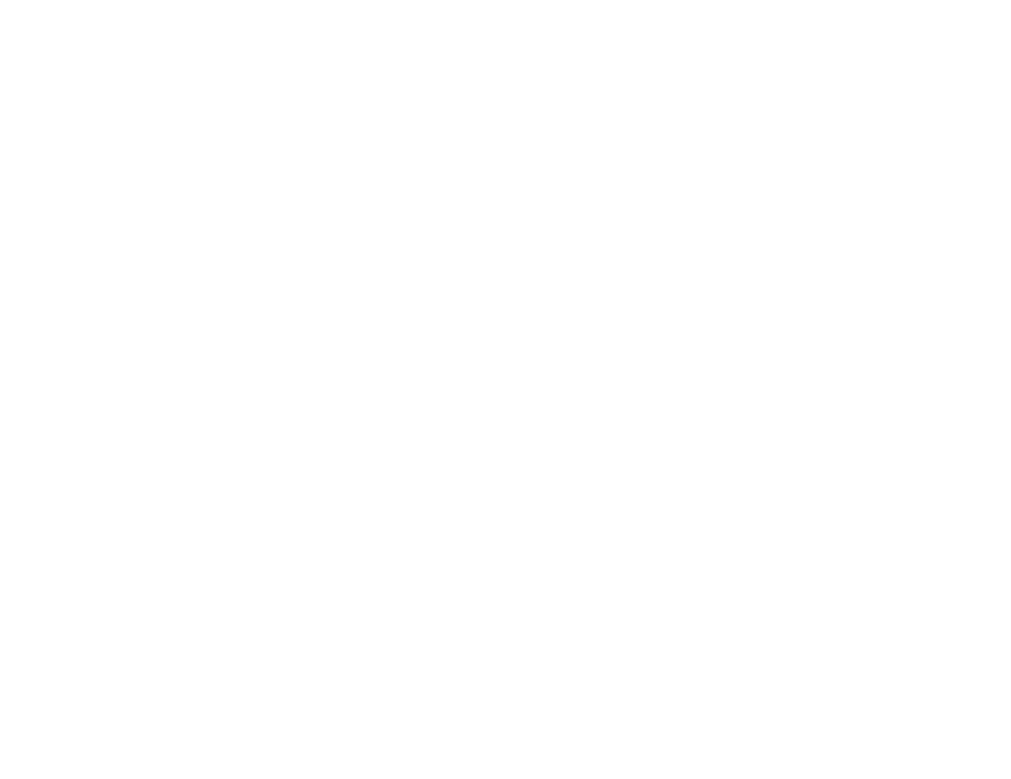 Flyway logo